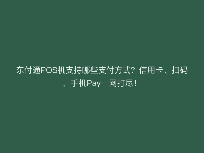 东付通POS机支持哪些支付方式？信用卡、扫码、手机Pay一网打尽！