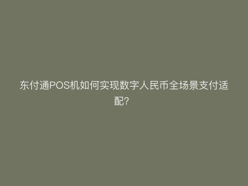 东付通POS机如何实现数字人民币全场景支付适配？