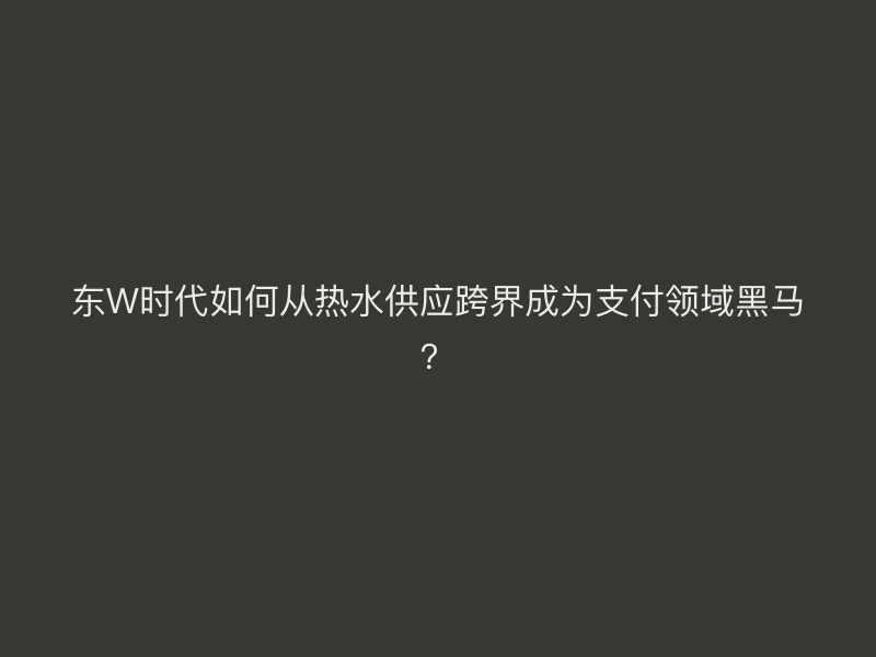 东W时代如何从热水供应跨界成为支付领域黑马？