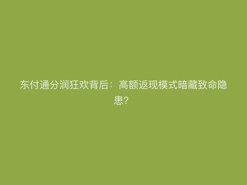 东付通分润狂欢背后：高额返现模式暗藏致命隐患？