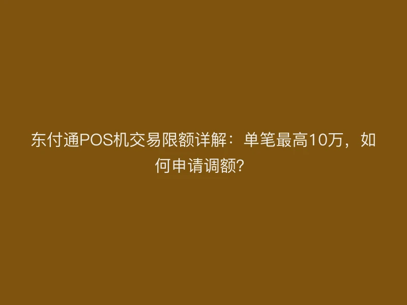 东付通POS机交易限额详解：单笔最高10万，如何申请调额？