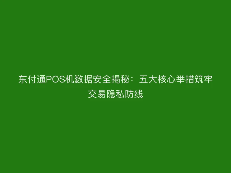 东付通POS机数据安全揭秘：五大核心举措筑牢交易隐私防线