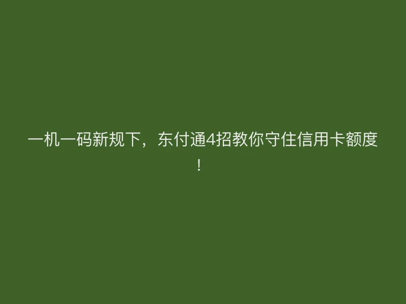 一机一码新规下，东付通4招教你守住信用卡额度！