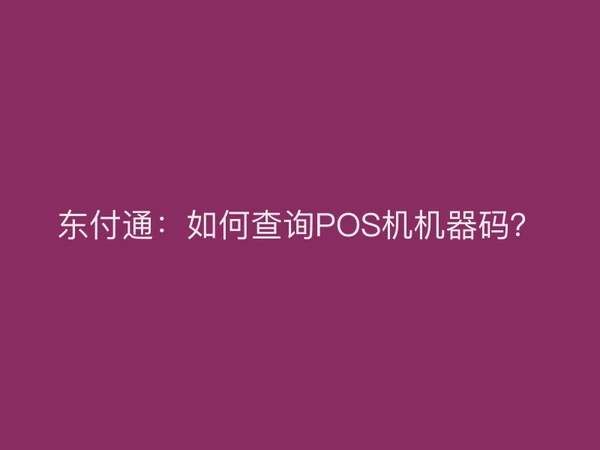 东付通：如何查询POS机机器码？