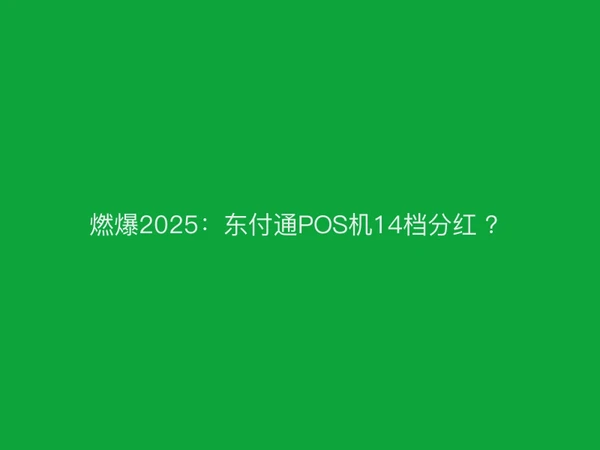 燃爆2025：东付通POS机14档分红 ？