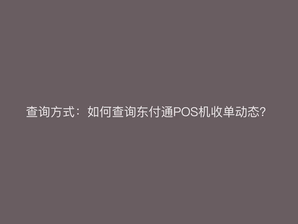 查询方式：如何查询东付通POS机收单动态？
