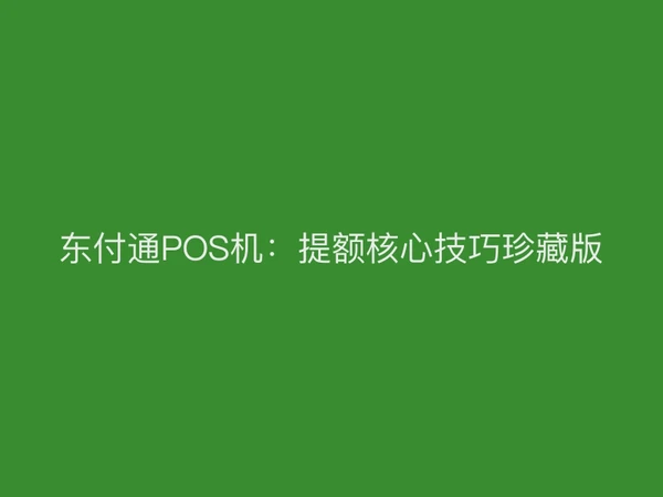 东付通POS机：提额核心技巧珍藏版