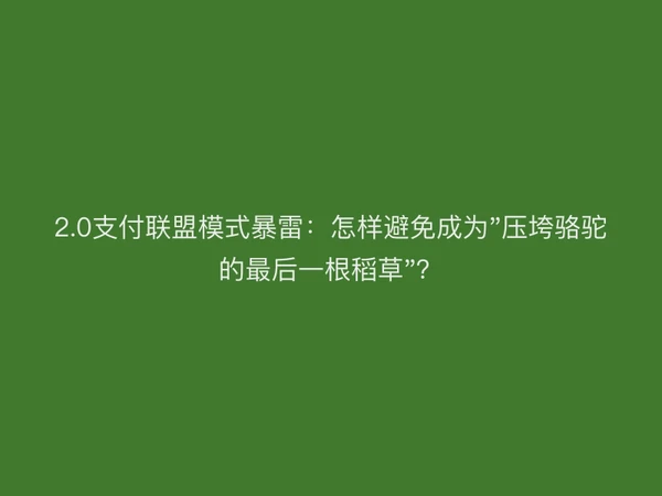 2.0支付联盟模式暴雷：怎样避免成为"压垮骆驼的最后一根稻草"？