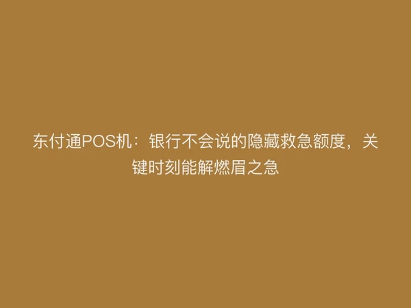 东付通POS机：银行不会说的隐藏救急额度，关键时刻能解燃眉之急